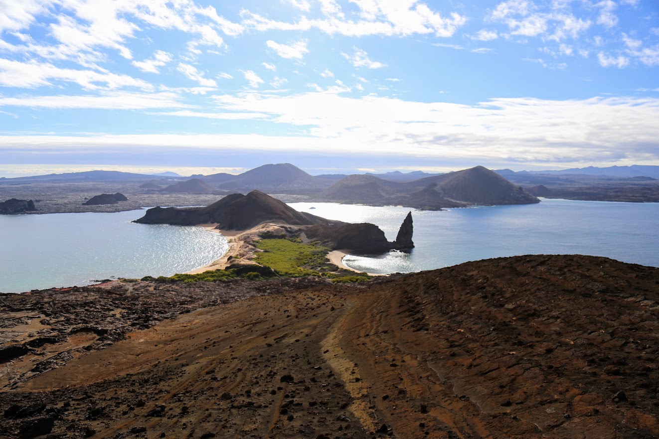 An artistic photograph of an animal.